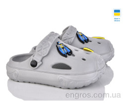 Кроксы Golden Lion